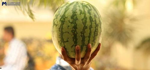 2021年娱乐吃瓜,年度吃瓜大事件盘点